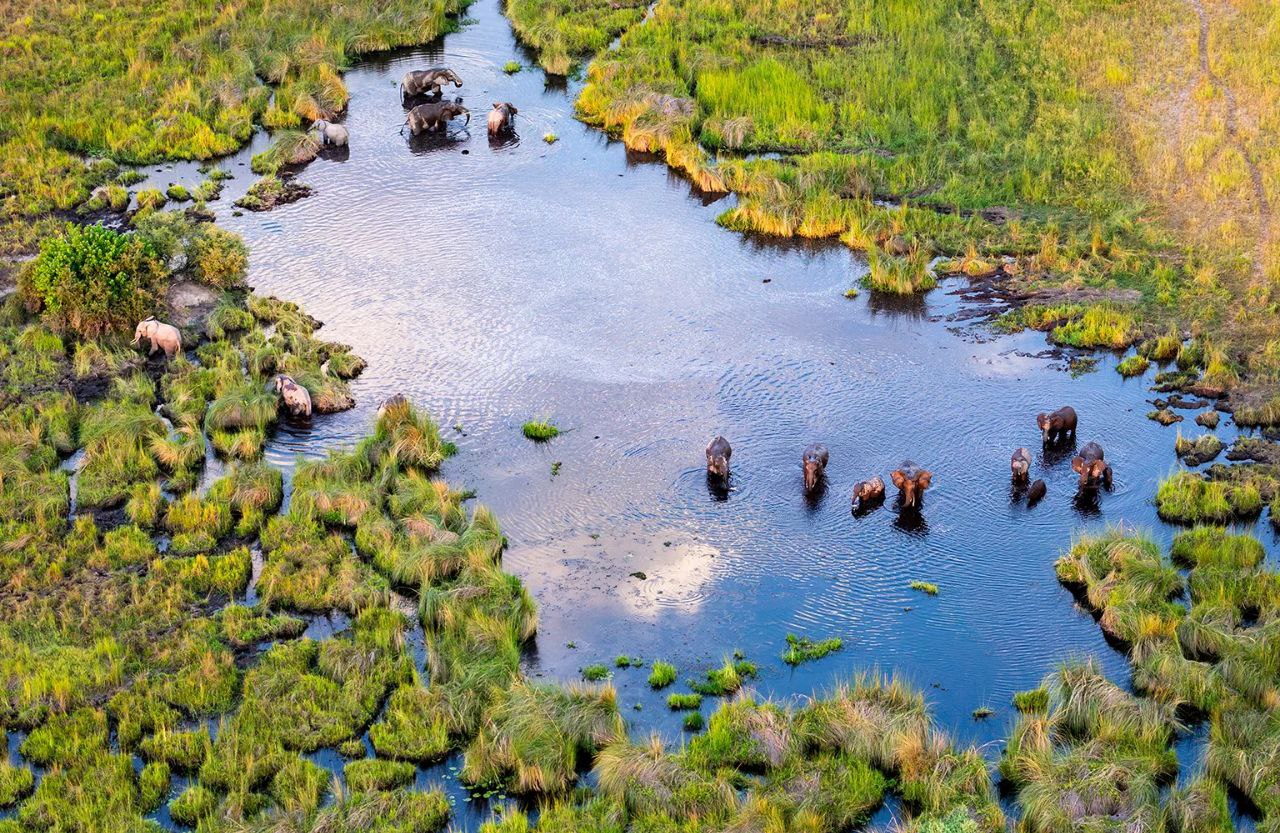 Okavango