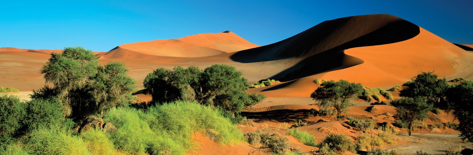 Sand Dunes