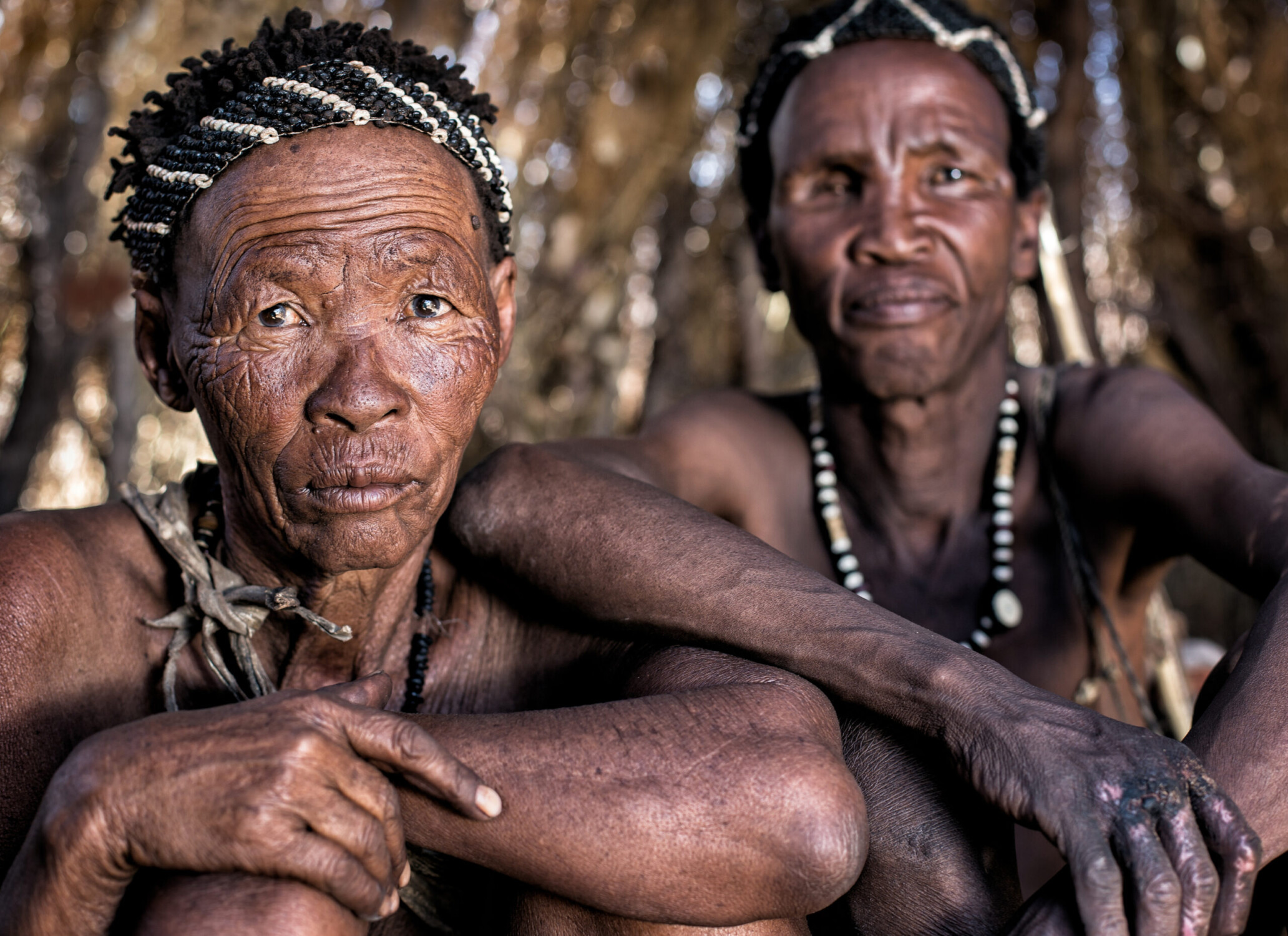 San Bushman