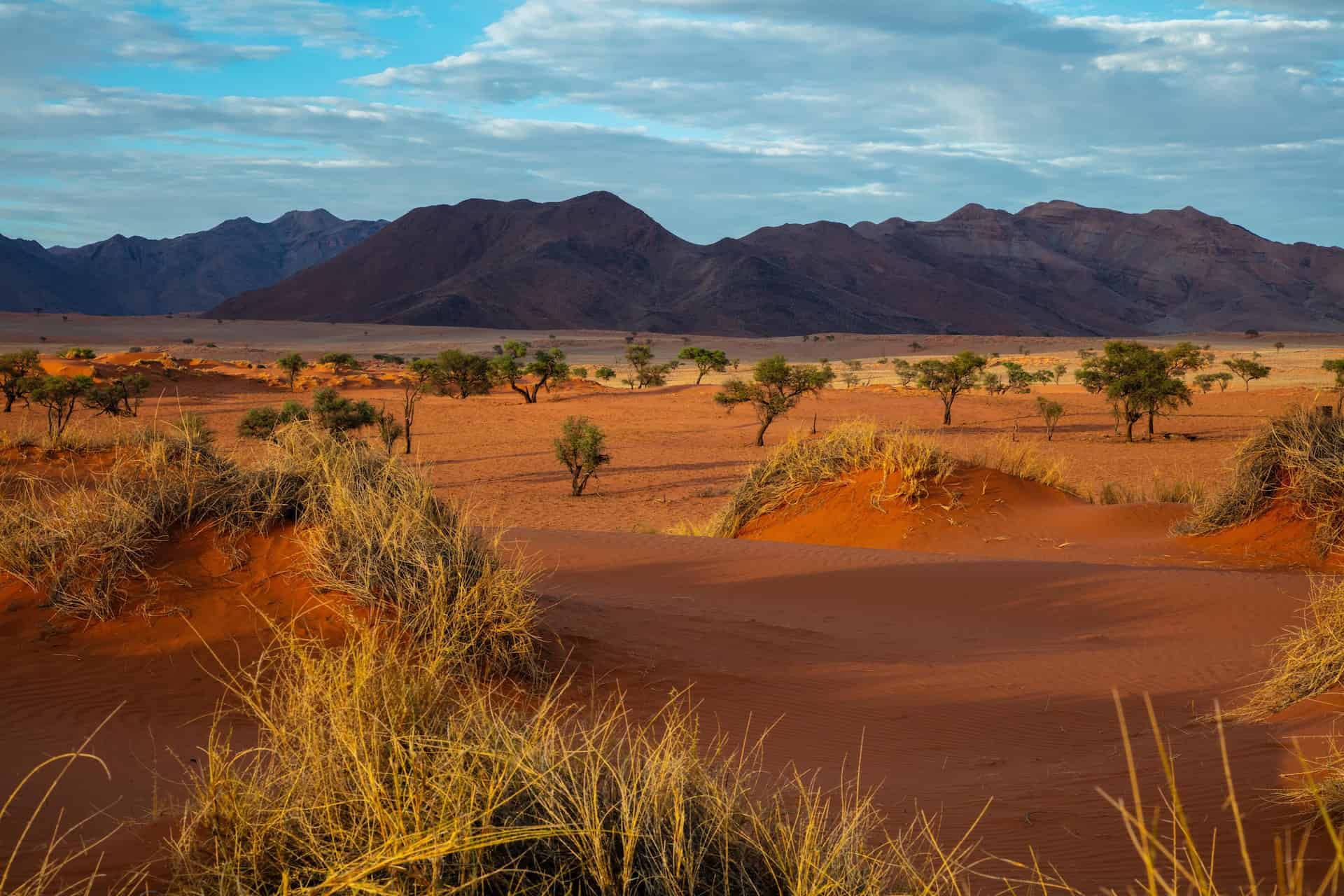 Namib