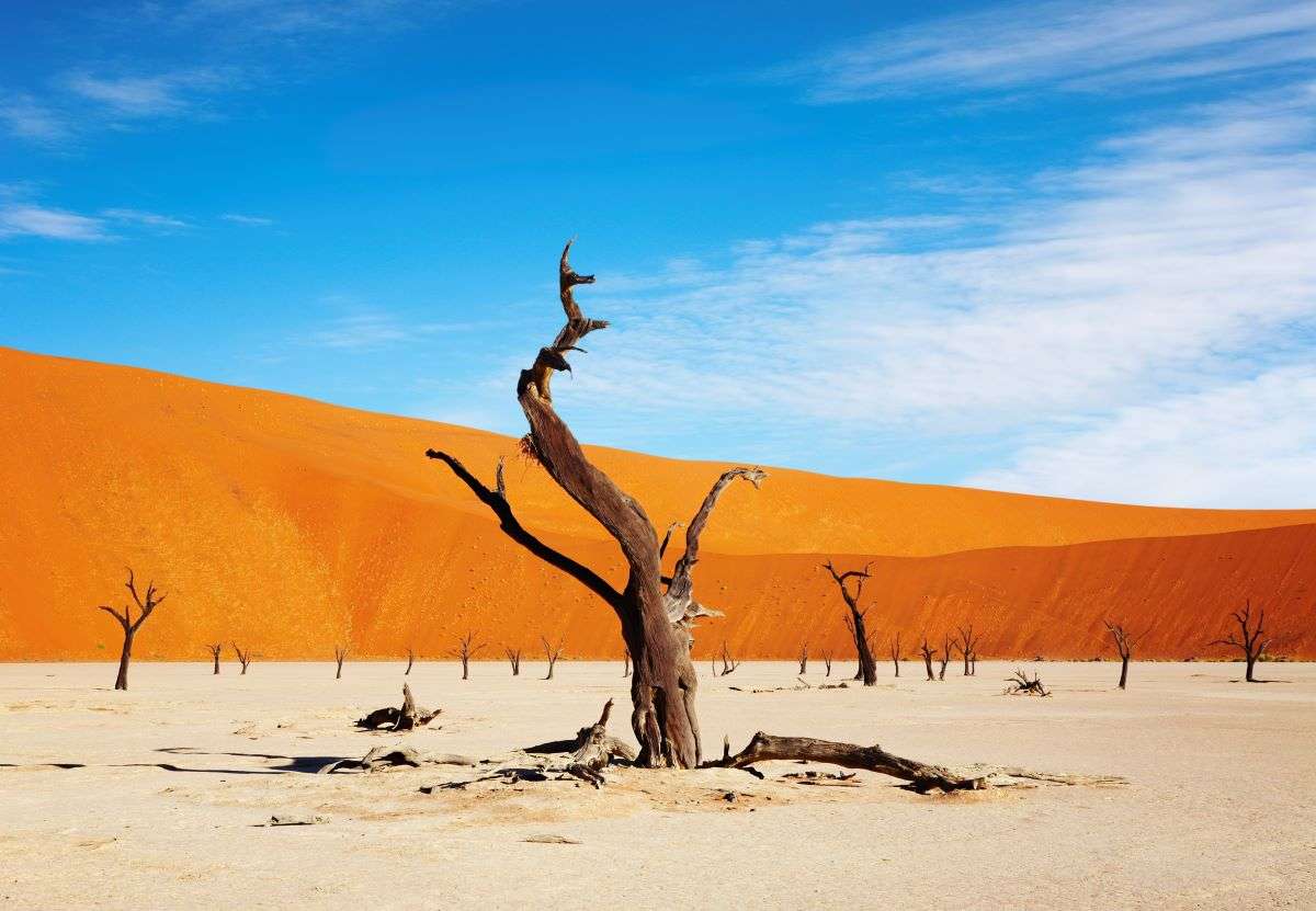 Deadvlei